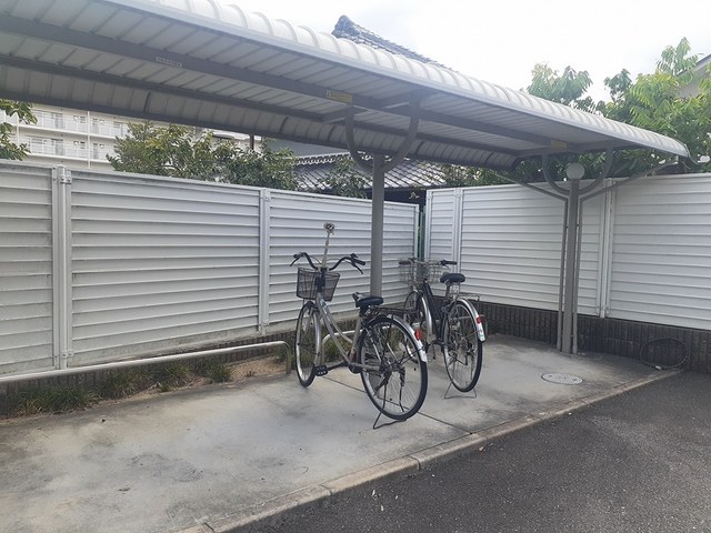 クリプトメリア　アヴェニュ－ その他6