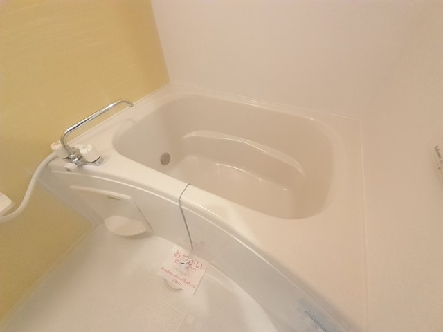 クリプトメリア　アヴェニュ－ 風呂画像