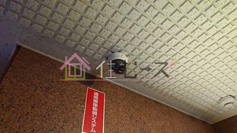 ルネッサンスベルシティー その他外観3