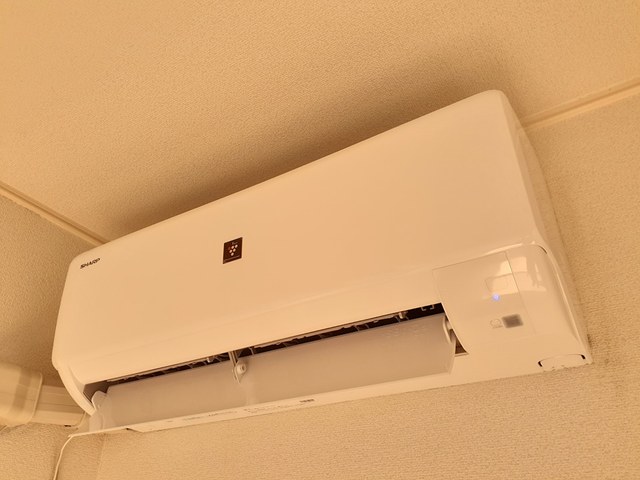 ミルト　ブリーゼ その他1