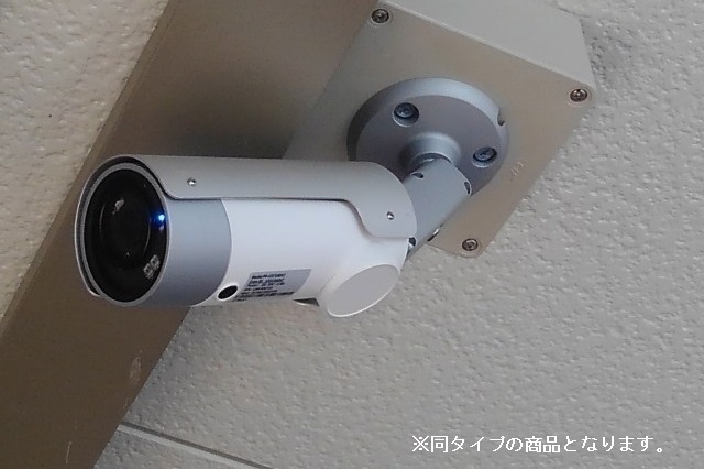 ラ・プレニチュード・アモネーズ その他11