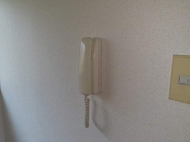 シルバーヴェリー金剛 その他3