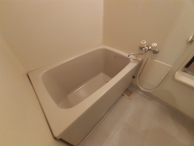 シルバーヴェリー金剛 風呂画像