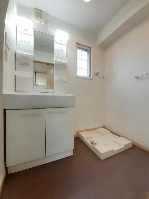 ストレリチア・オ－ガスタ その他1