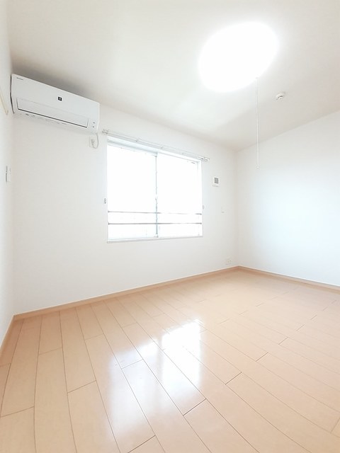 ストレリチア・オ－ガスタ その他3