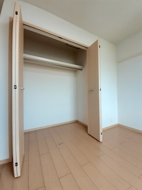 ストレリチア・オ－ガスタ その他4