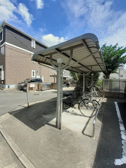 ストレリチア・オ－ガスタ その他6