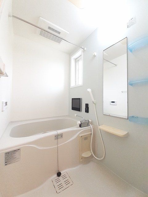 ストレリチア・オ－ガスタ 風呂画像