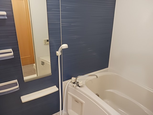 インターヴィラ雅 風呂画像