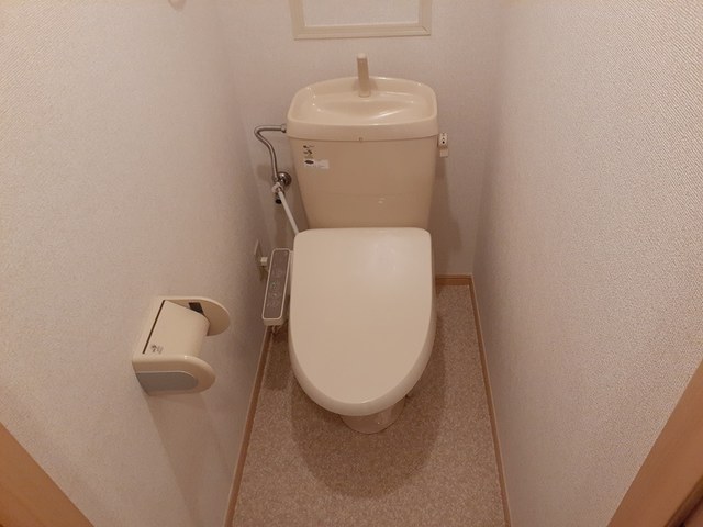 フォレスティア その他3