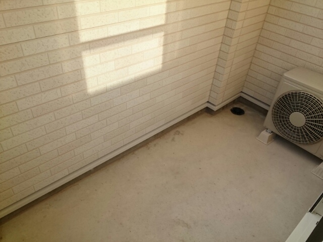 プラシード その他8