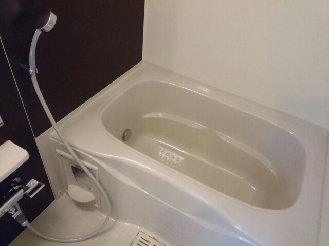 プラシード 風呂画像