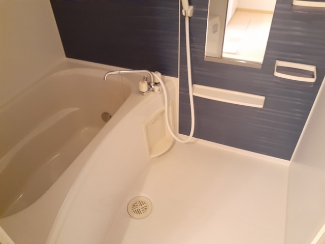 Ｄｕ　Ｓｕｄ　Ｍａｉｓｏｎ 風呂画像