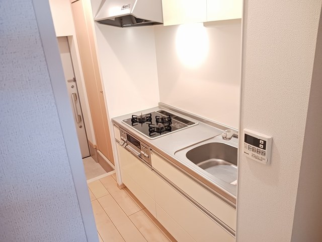 鶴野リバーサイドテラス キッチン