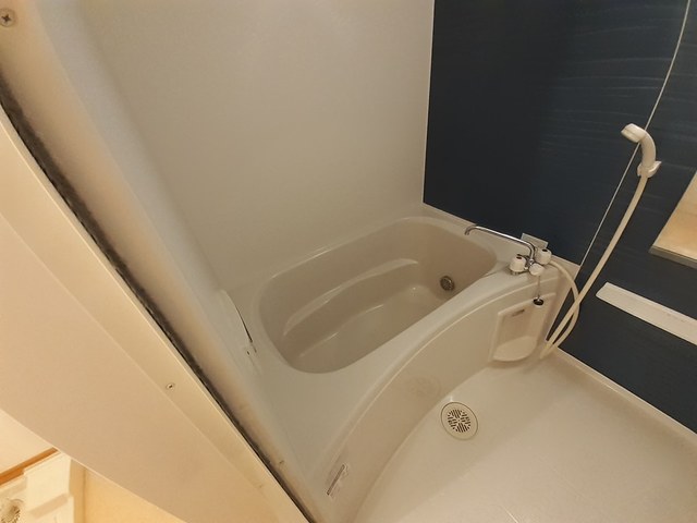 Ｃｏｍｐａｎｙ－Ⅷ 風呂画像