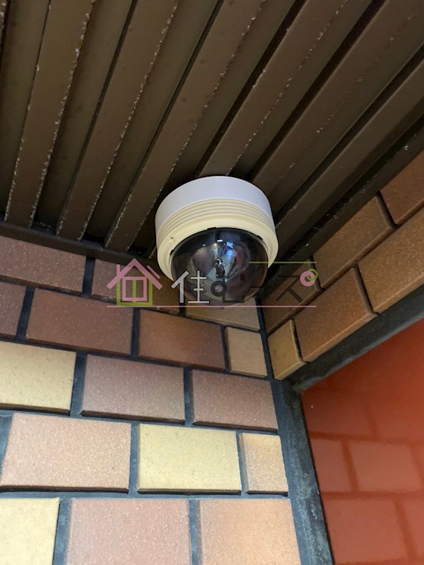 グローバル野田 その他外観5