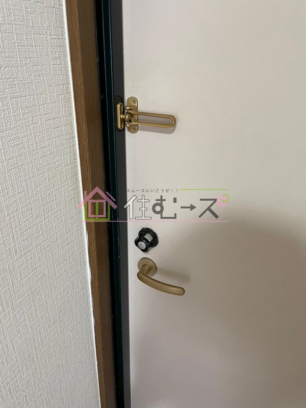 レジナコート その他4