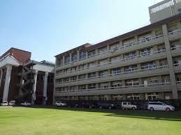 （仮称） 昭和町新築マンション 周辺画像10