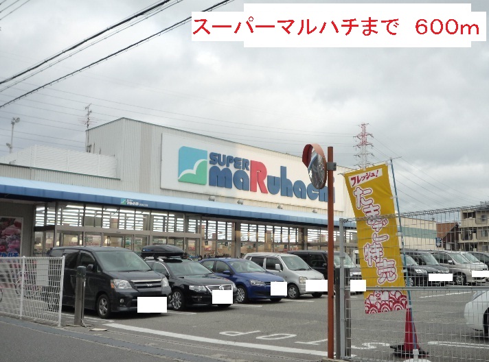 ハウオリ　オハナ その他外観2