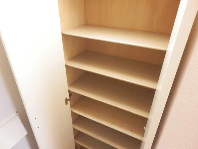 レオネクストアイオーン 玄関