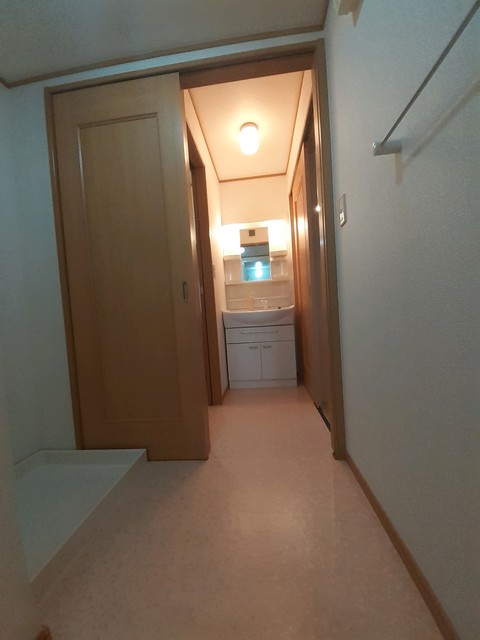 デスパシオ その他1