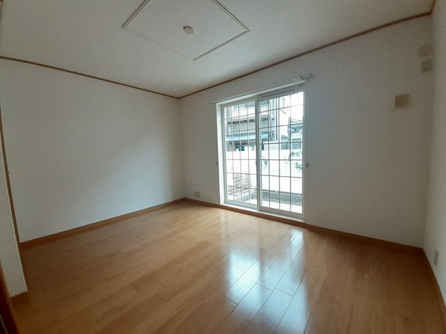 デスパシオ その他3