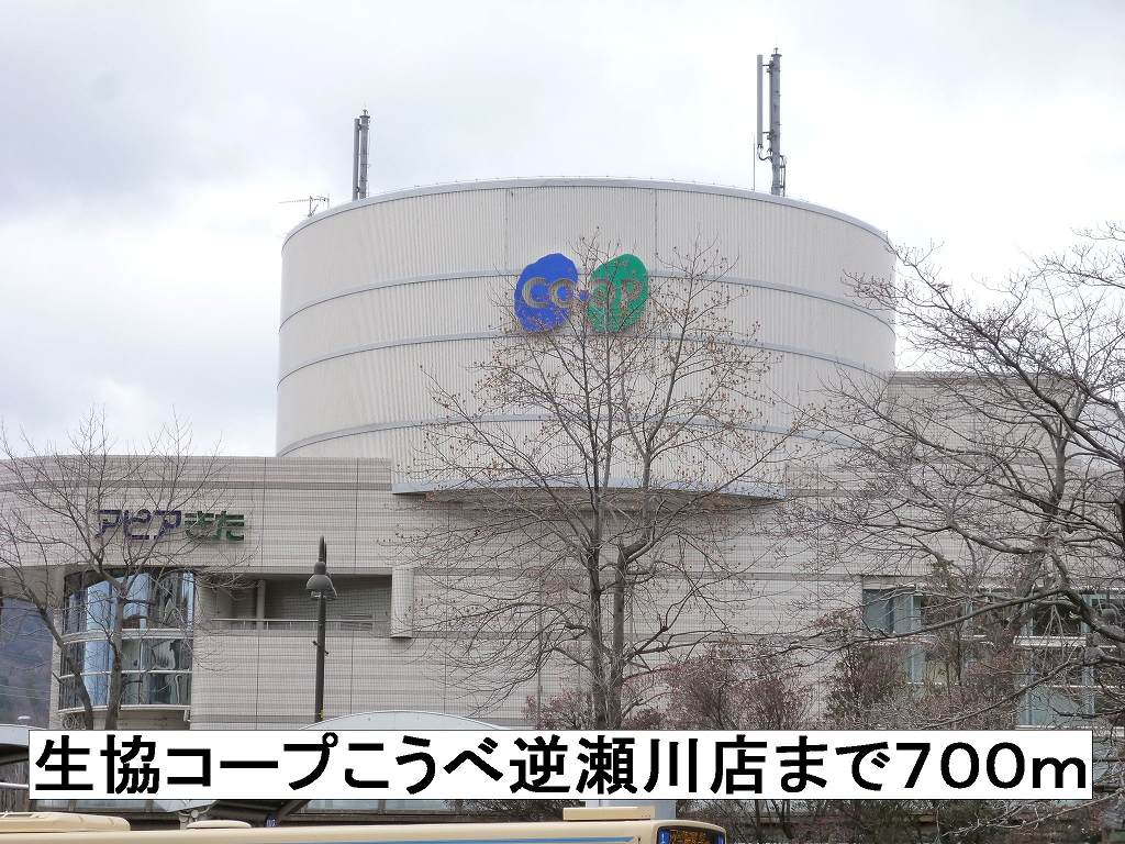 セレノ逆瀬川 その他外観2