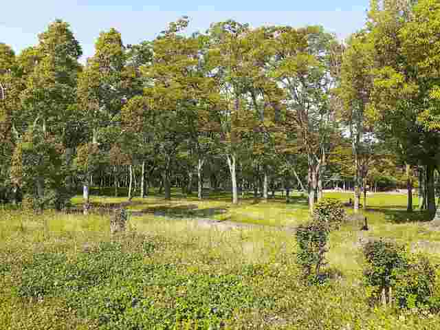 ＬＮ藤沢台 その他外観4