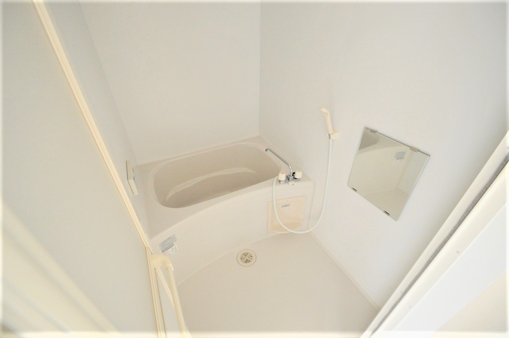 レオネクストカルミアオクイ 風呂画像