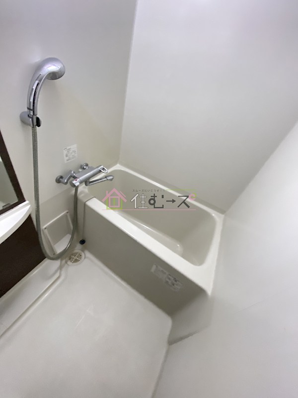 エステムコート難波サウスプレイスⅢラ・パーク 風呂画像