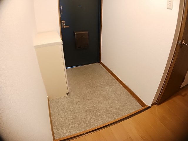 サウスタウンＦ 玄関