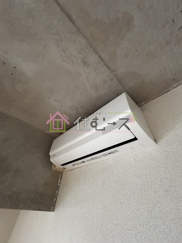 PRIMA ROSA優 その他4