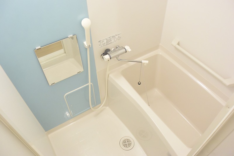 レオネクスト宝 風呂画像