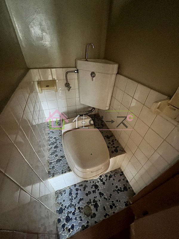 グレイスフル1 その他6