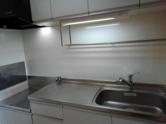 プラシード　アロッジオ キッチン