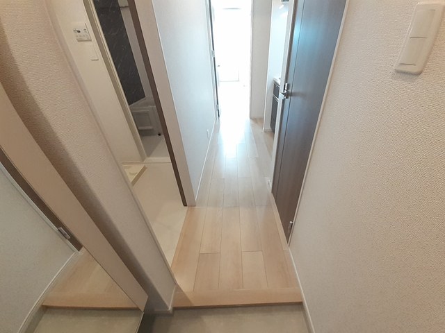 プリムローズ その他6