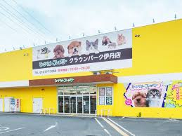 (仮称)伊丹市野間北1丁目賃貸住宅新築工事 周辺画像10