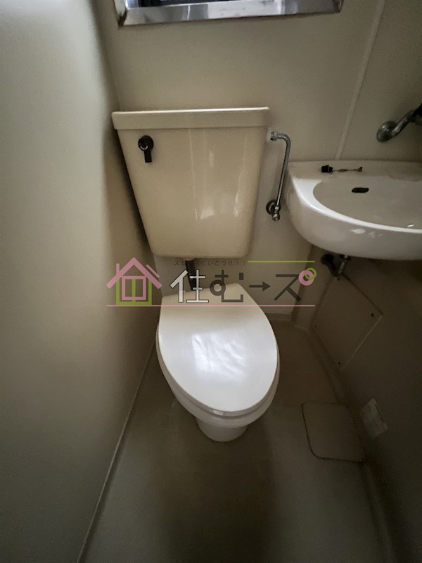 ホワイトイン その他4