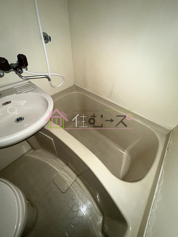 ホワイトイン 風呂画像