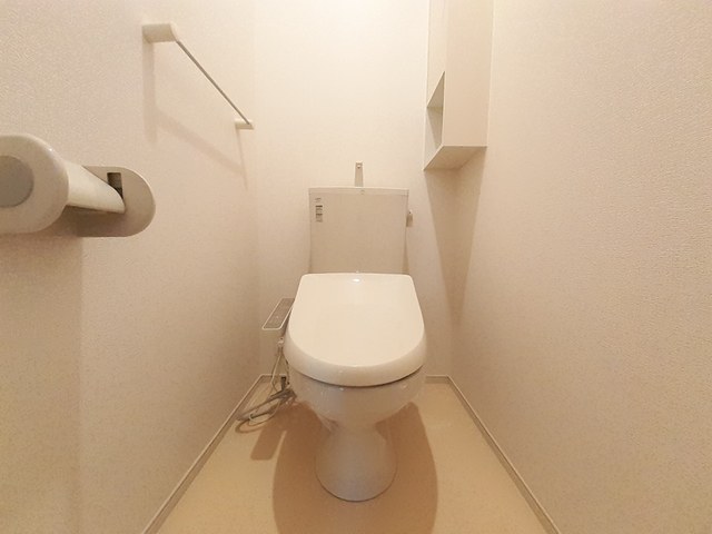 カ－サプラシ－ド その他2