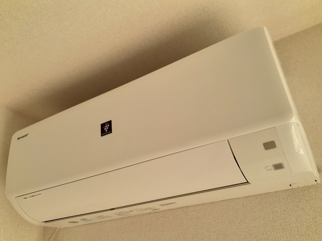 プリムラ　ＴＫ０１ その他1