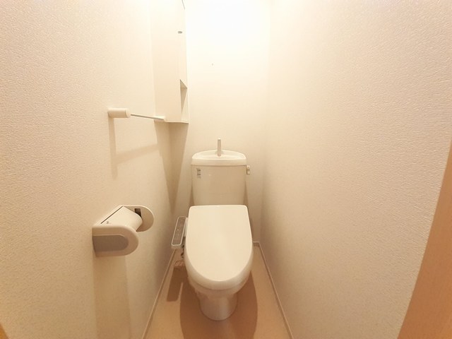 プリムラ　ＴＫ０１ その他5