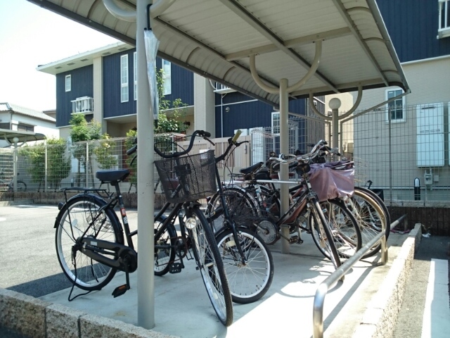 プリムラ　ＴＫ０１ その他7