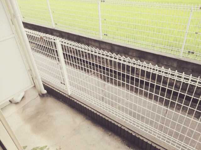 グリ－ンコ－トⅡ番館 ベランダ