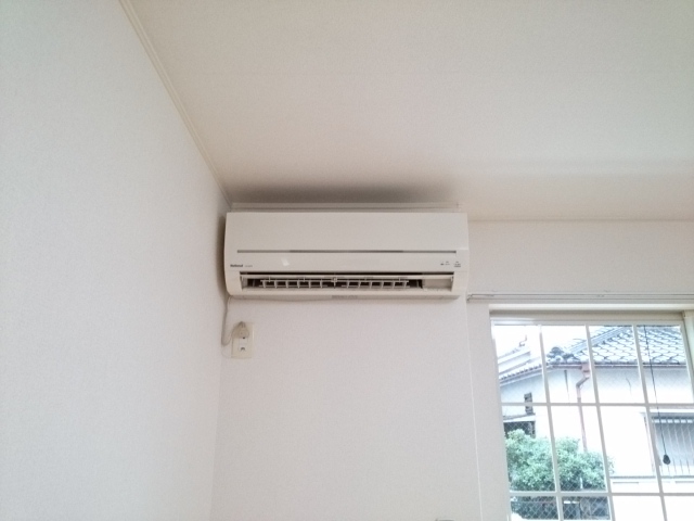 シス・アムール その他6