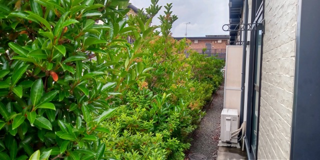 レオパレスイクセン４ その他16