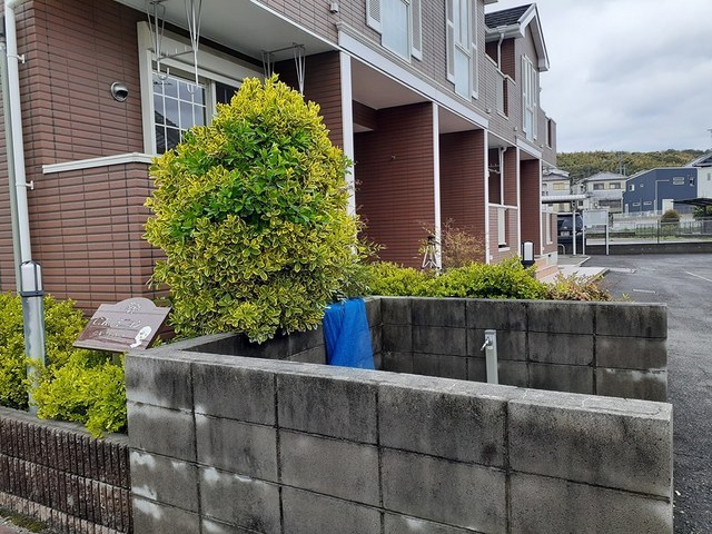 Ｃ・Ｋ・ミニョン その他1