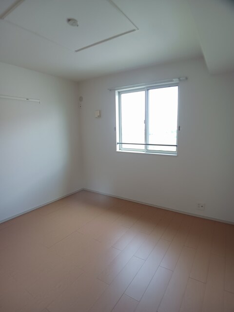 サイプレス　Ⅰ その他2