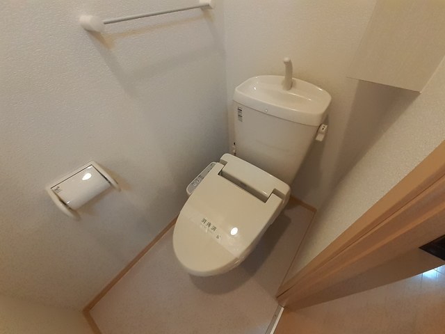 シトラス　コート その他2