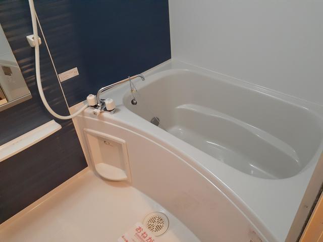 ライゼ諸福 風呂画像